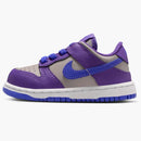 Nike Dunk Low Wild Grape (TD)