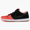 Nike Sb Dunk Low Premier Fish Ladder