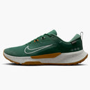 Nike Juniper Trail 2 Gore-tex Fir Desert Ochre Bright Crimson Light Silver