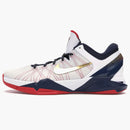 Nike Kobe 7 Gold Medal