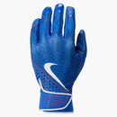 Nike Kobe Bryant Baseball Big Kids' Batting Gloves (1 Pair) Blue