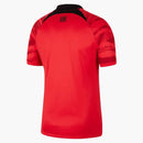 Nike Korea 2022/23 Stadium Home Dri-fit Soccer Jersey Global Red/pepper Red/black