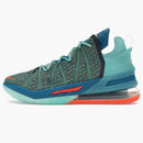 Nike Lebron 18 We Are Family