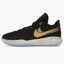Nike Lebron 20 Black Metallic Gold (gs)