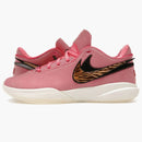 Nike Lebron 20 South Beast