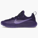 Nike Lebron Tr 1 Purple Rain
