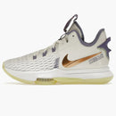 Nike Lebron Witness 5 Summit White Metallic Bronze