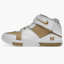 Nike Lebron Zoom 2 Maccabi (2022)