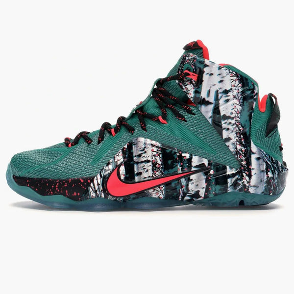 Nike Lebron 12 Akron Birch