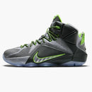 Nike Lebron 12 Dunk Force