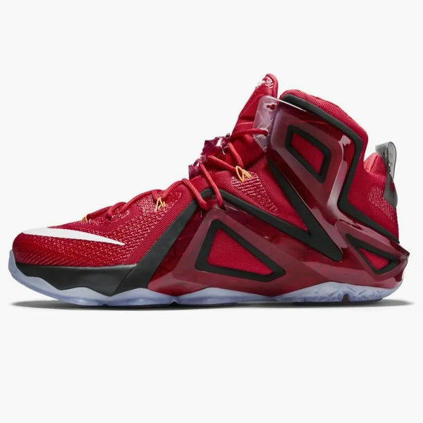 Nike Lebron 12 Elite Team