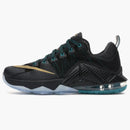 Nike Lebron 12 Low Svsm