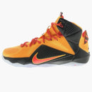 Nike Lebron 12 Witness