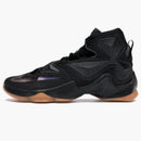 Nike Lebron 13 Black Lion