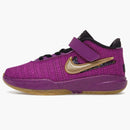 Nike Lebron 20 Se Vivid Purple (ps)