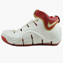 Nike Lebron 4 Home Pe