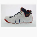 Nike Lebron 4 Playoffs