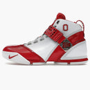 Nike Lebron 5 Ohio State