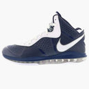 Nike Lebron 8 V/2 Yankees