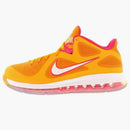 Nike Lebron 9 Low Floridians