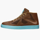 Nike Lebron X Nsw Hazelnut