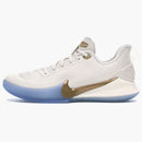 Nike Mamba Focus Metallic Gold