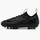 Nike Mercurial Vapor 16 Academy Ag Black Deep Jungle (gs)