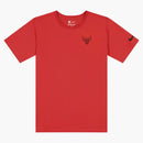 Nike Nba Chicago Bulls Essential Core Logo T-shirt Red