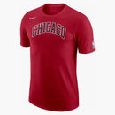 Nike Nba Chicago Bulls Essiantial City Edition Logo T-shirt Dark Red