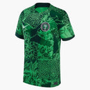 Nike Nigeria 2022/23 Stadium Home Jersey Green Spark/Pine Green/Black/White