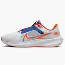 Nike Pegasus 40 Florida