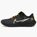 Nike Pegasus 40 Pittsburgh Steelers
