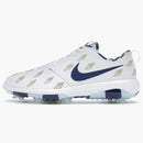 Nike Roshe Golf Tour Wings