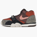 Nike Sb Air Trainer 1 Arts-rec Limestone