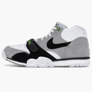 Nike Sb Air Trainer 1 Chlorophyll (2020)