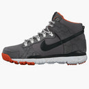 Nike Sb Dunk High R/r Poler