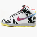 Nike Sb Dunk High Thrashin