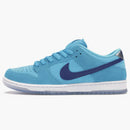 Nike Sb Dunk Low Pro Blue Fury