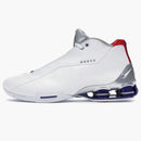 Nike Shox Bb4 Toronto Raptors