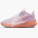 Nike Team Hustle D 12 Doll Pearl Pink White Apricot Agate (gs)