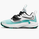 Nike Zoom Freak 3 Clear Emerald (gs)
