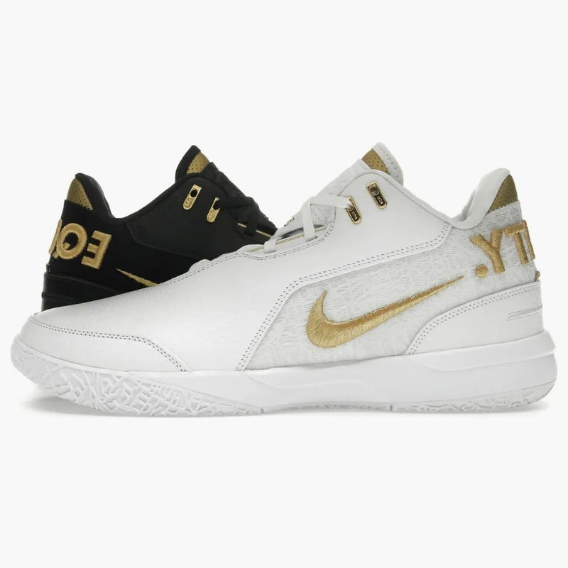 Nike Zoom Lebron Nxxt Gen Ampd Equity