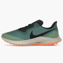 Nike Zoom Pegasus 36 Trail Gore-tex Bicoastal (women's)