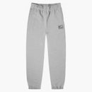 Nike x stussy nrg br litear pantan