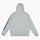 Nike X Takashi Murakami X MLB World Tour Tokyo Series 2025 Cubs Hoodie Gray