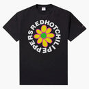 Noah x RHCP Tour de amor ilimitado Té Negro