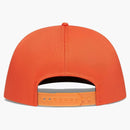 Ovo Halloween Gang Trucker has orange
