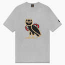 Ovo Jurassic Park OG OWL T-shirt Heather Gray