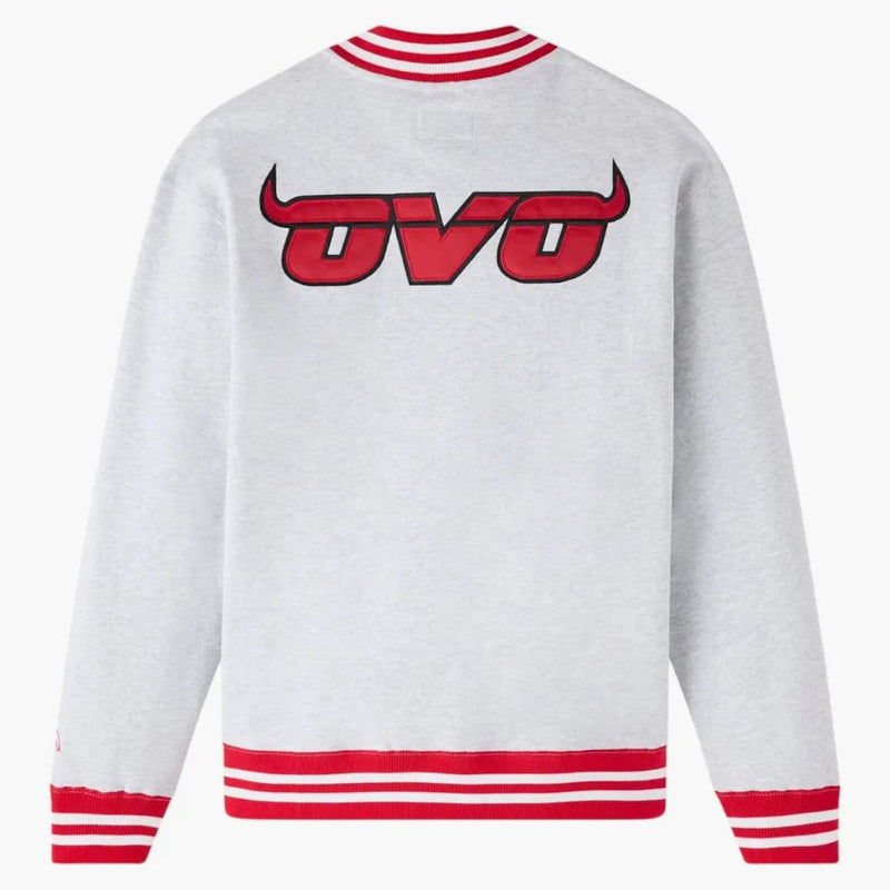 Ovo NBA Chicago Bulls Quarter-Provent Zip Mockneck Feshhirt Ash Heather Grey