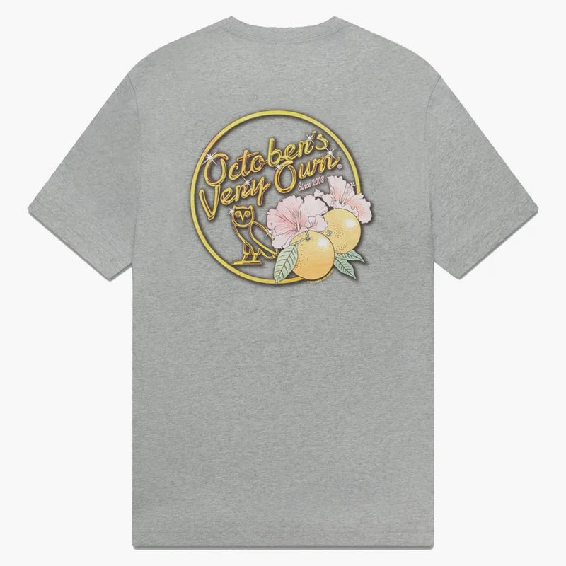 Camiseta de búho de oro sólido ovo Heather Gray